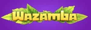 Megazap chat